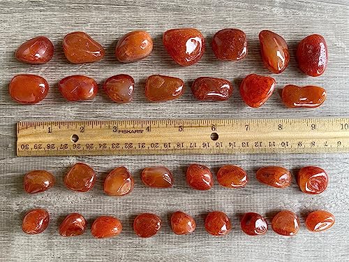 Image of GAF TREASURES 1 /2 LB Carnelian Tumbled Stones, Polished Carnelian Gemstone, Carnelian Healing Crystals (Carnelian)