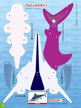 Amazon.com: 新りったいさかな館(小学館の図鑑NEOのクラフト