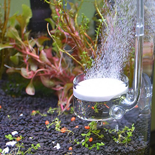 Image of CO2 Diffuser Glass Reactor with U Shape Connecting Tube for Pollen Aquarium Plants Tank(CO2 Diffuser-Large Flat-Bottomed)