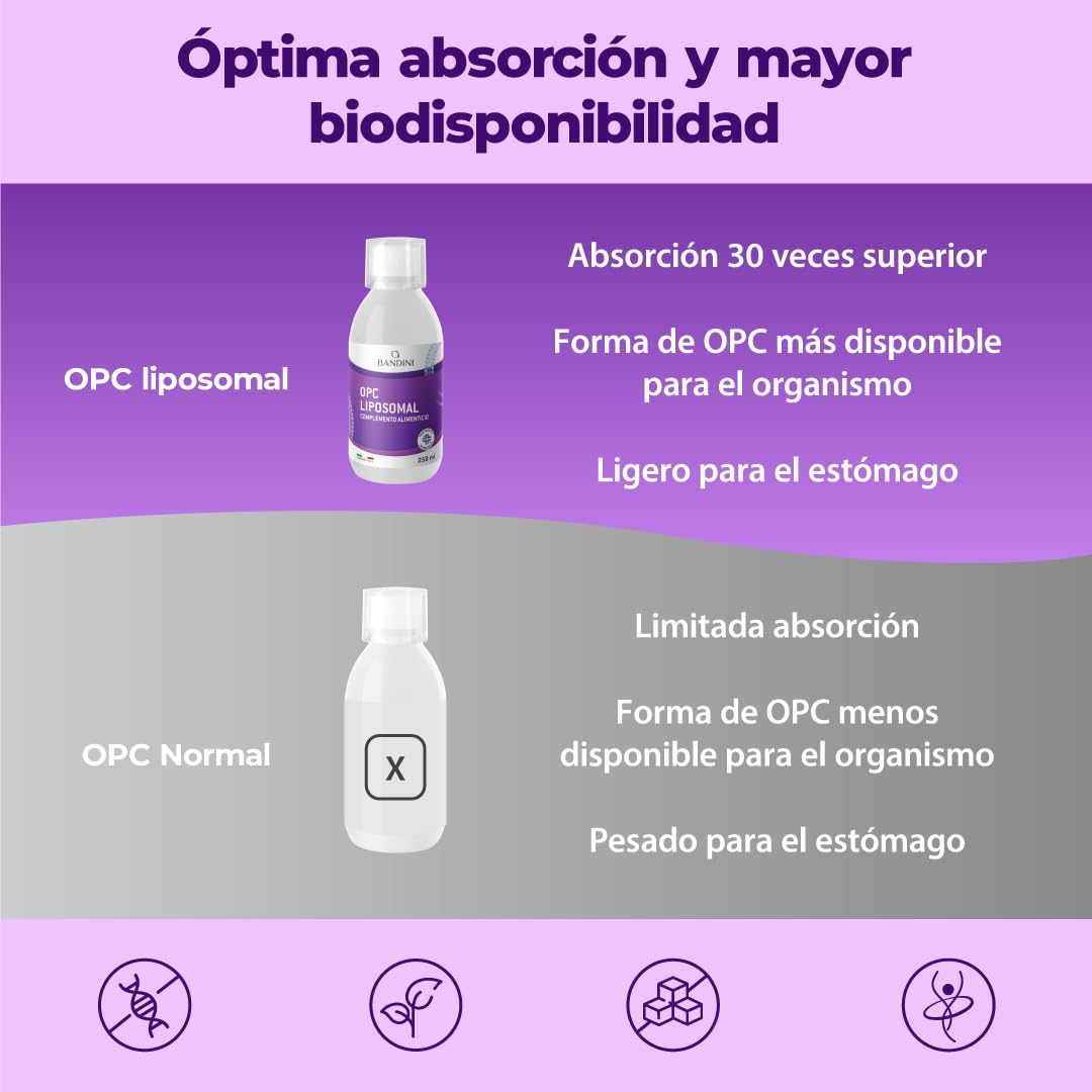 Bandini® OPC Líquido Liposomal 250 ml - Extracto de Semilla de Uva 95% OPC (200 mg por dosis) - Fórmula de Absorción Óptima con Tecnología Liposomal - Suplemento Antioxidante Natural