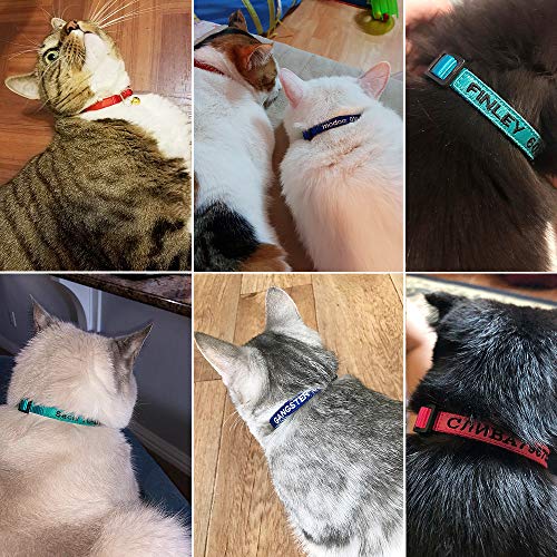 TaiHong Katzen-Halsband, personalisierbar, mit Glöckchen und besticktem ID, Name und Telefonnummer