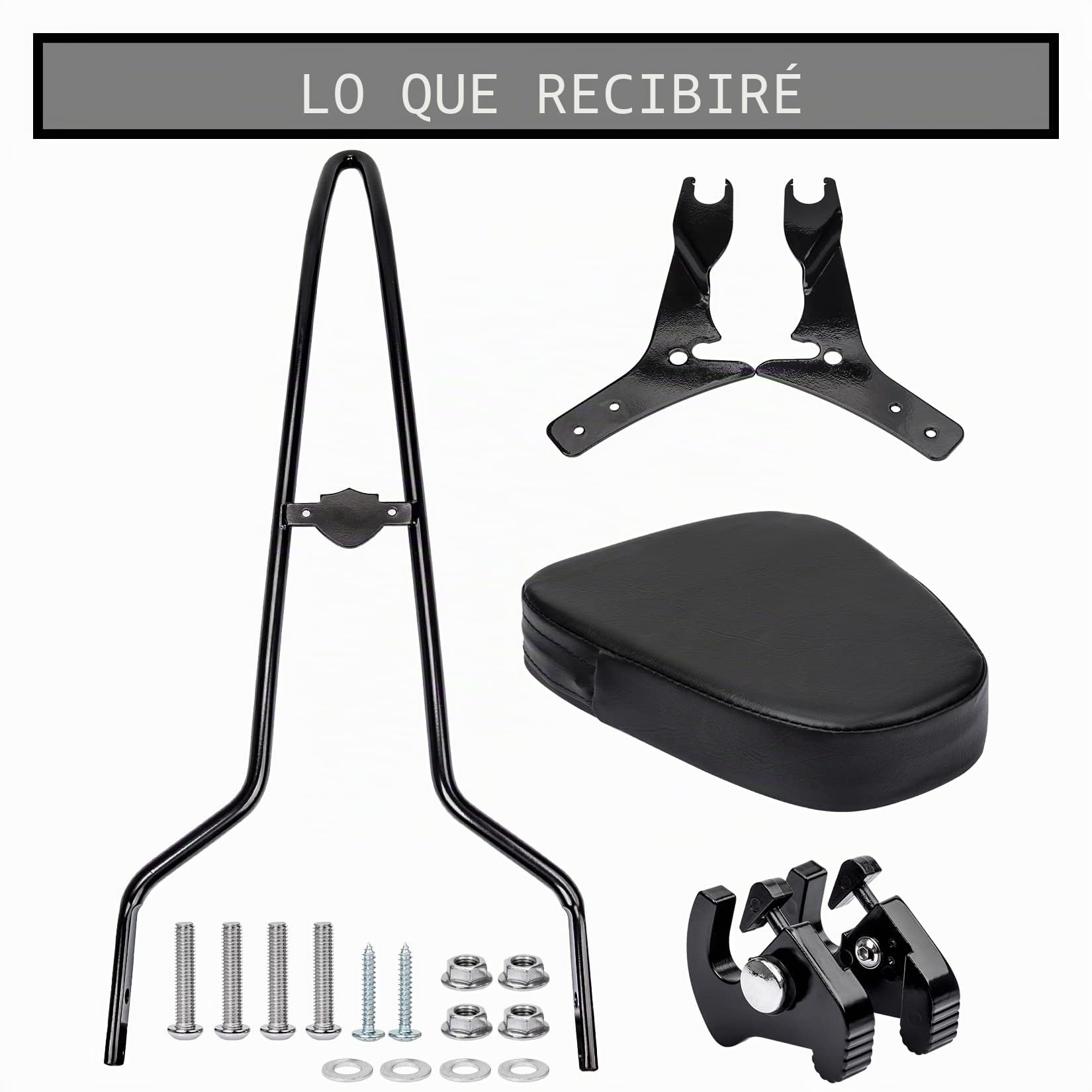 Respaldo para Motocicleta, PSLER Respaldo para Pasajero,Sissy Bar para Touring Road King Street Glide Electra Glide Ultra Limited 2009-2023