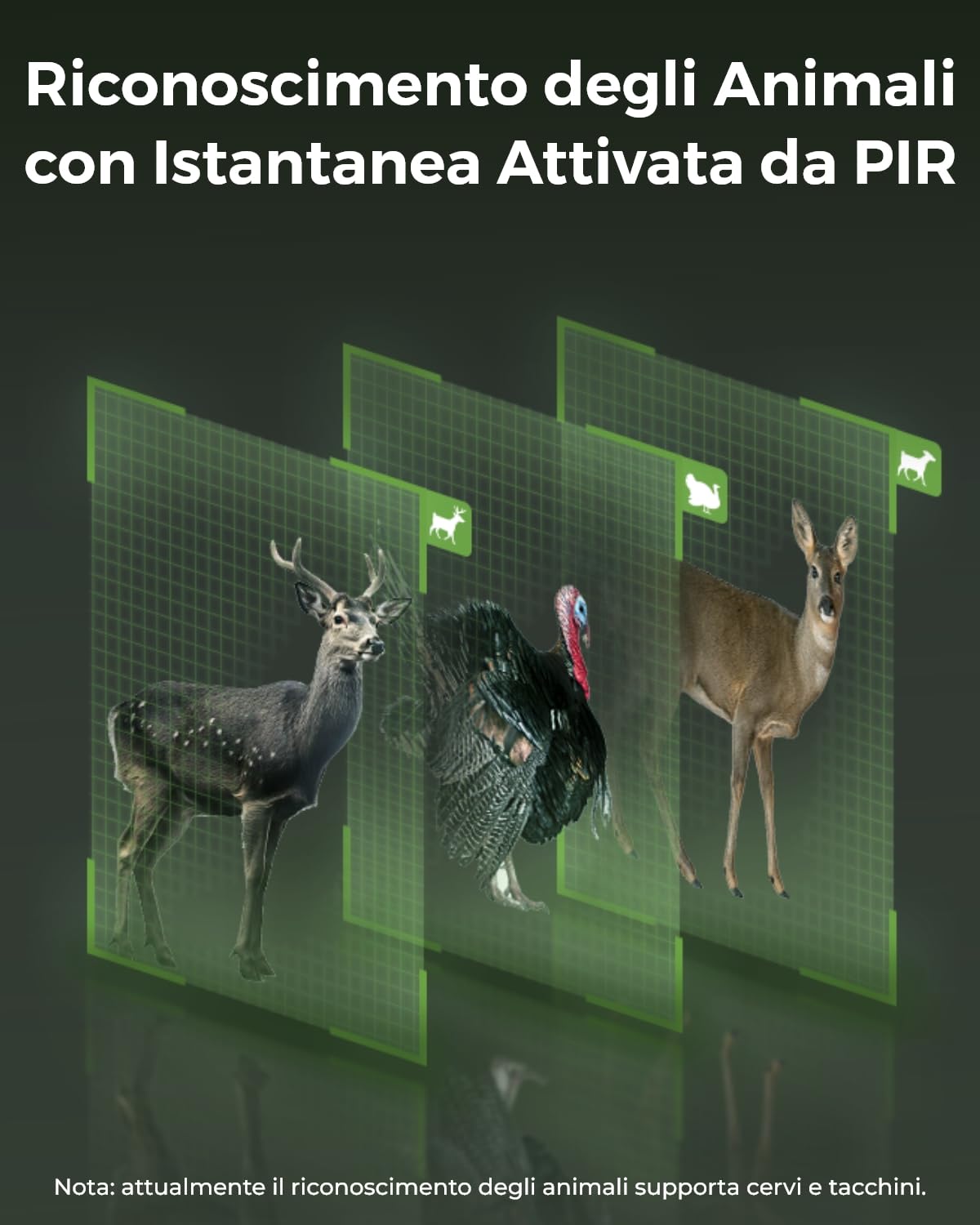 Reolink 4K Telecamera 4G Sim da Esterno Senza Fili con Batteria, 360° PTZ Fototrappola Infrarossi Invisibili, Audio a 2 Vie, Riconoscimento degli Animali, Accesso Remoto, Go Ranger PT+Pannello Solare