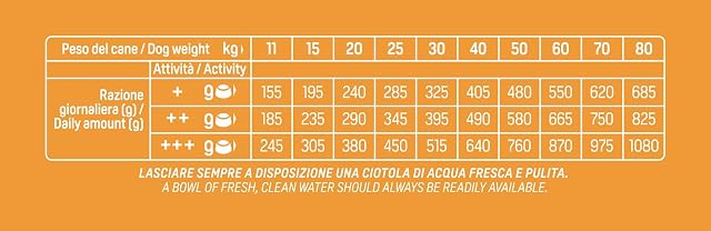 Foto 5 de 5 de Trainer Natural Sensitive No Gluten - Pienso para Perros Medium-Maxi Adult con Cerdo y Cereales Integrales