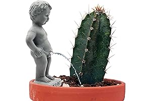 Peeing Boy Fountain | Garden Water Fountain Boy Peeing | Little Boy Peeing Fountain