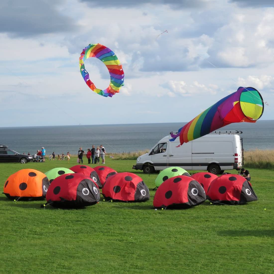 TiffyDance 0.6/1.2/1.8m 3D Ladybug Kite, Red Nylon, Insect Theme, Kite