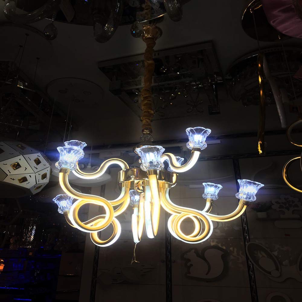 Gorgeous Looking Antique Style Chandelier Decorative Wall Hanging Light with 6 Lamps