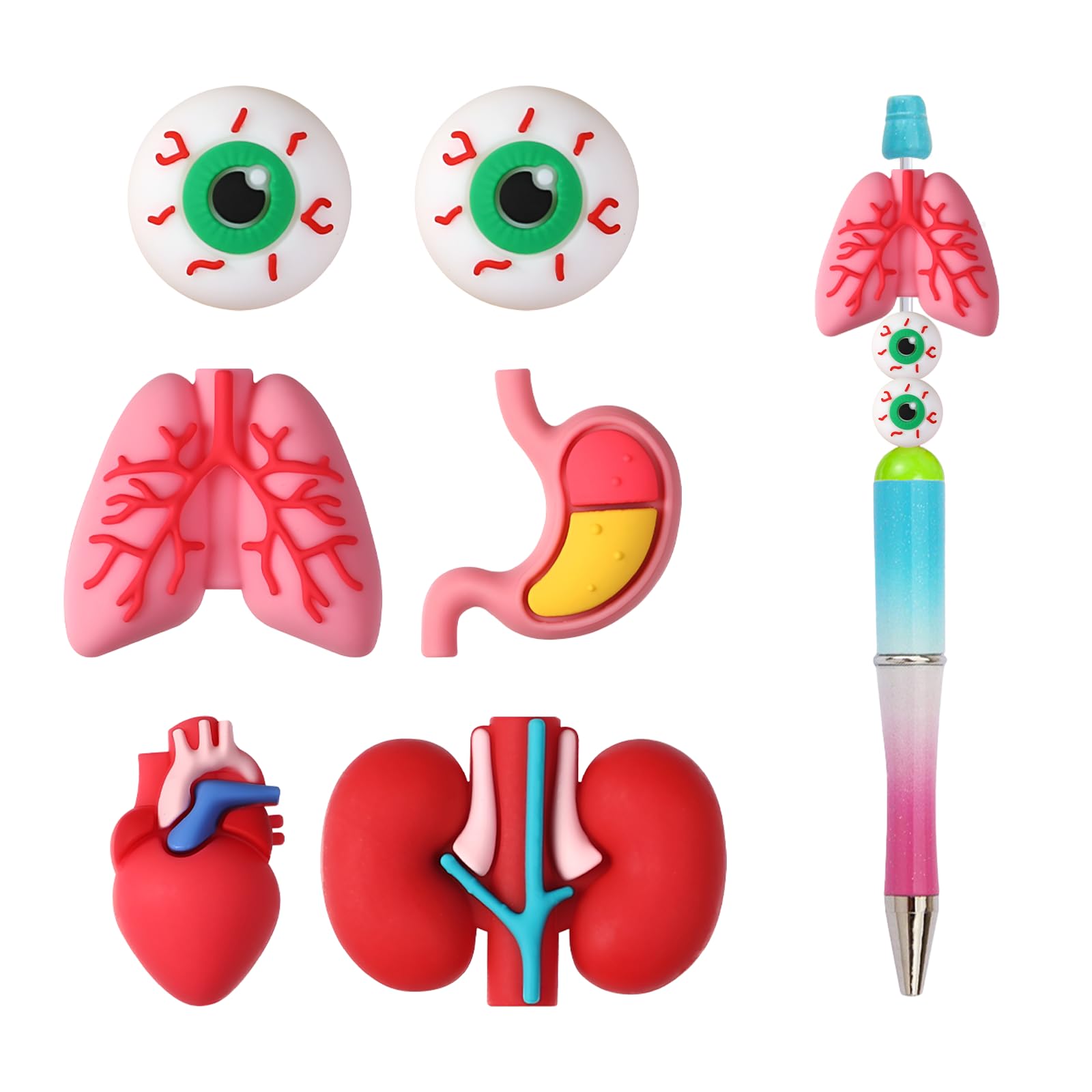 Fun Organ Beads for Pens - Chunky 3D Silicone Anatomy Beads for DIY Crafts, Jewelry Making, Keychains and Pen Decoration (Set of 6)