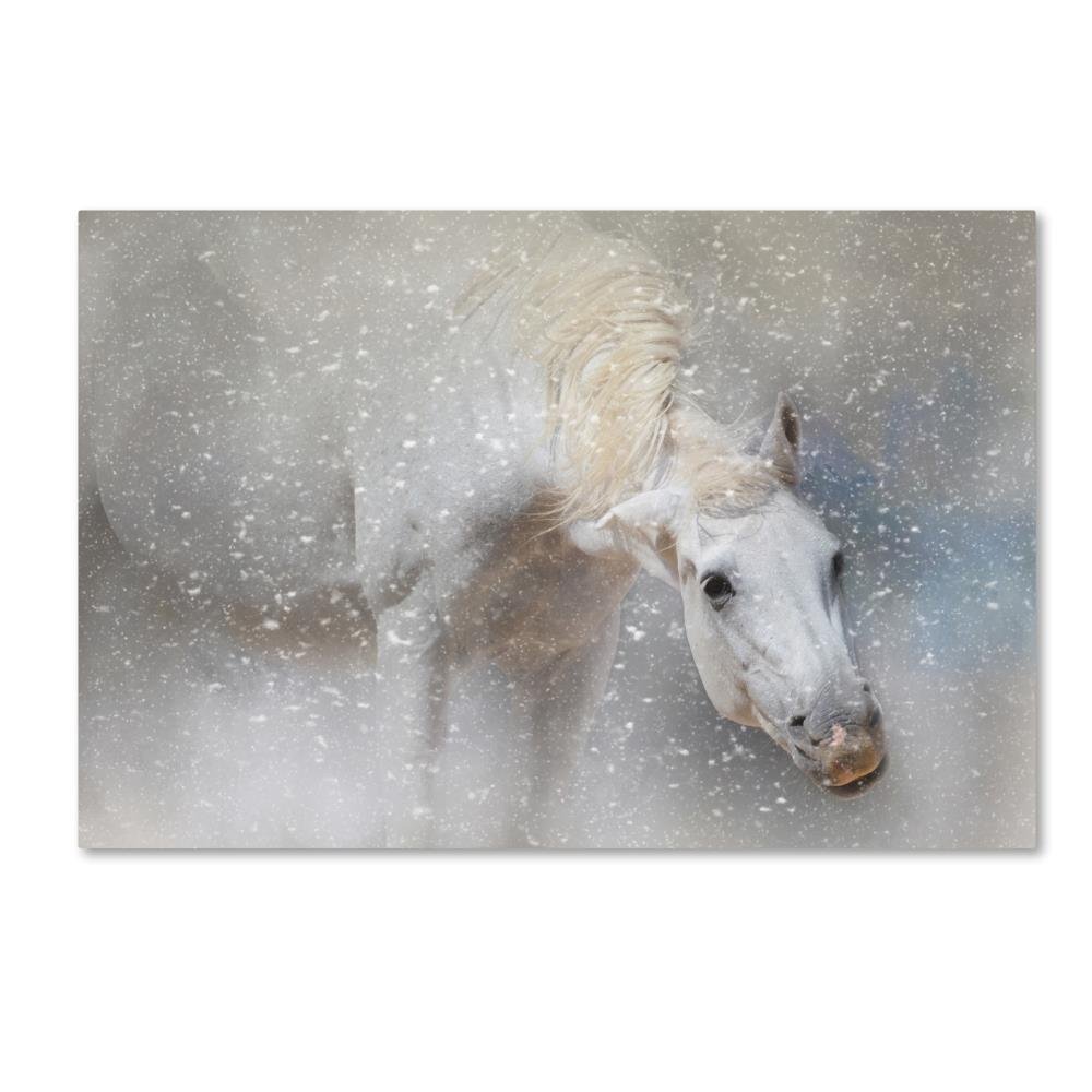 Snow Tickle by Jai Johnson, 16x24-Inch Canvas Wall Art