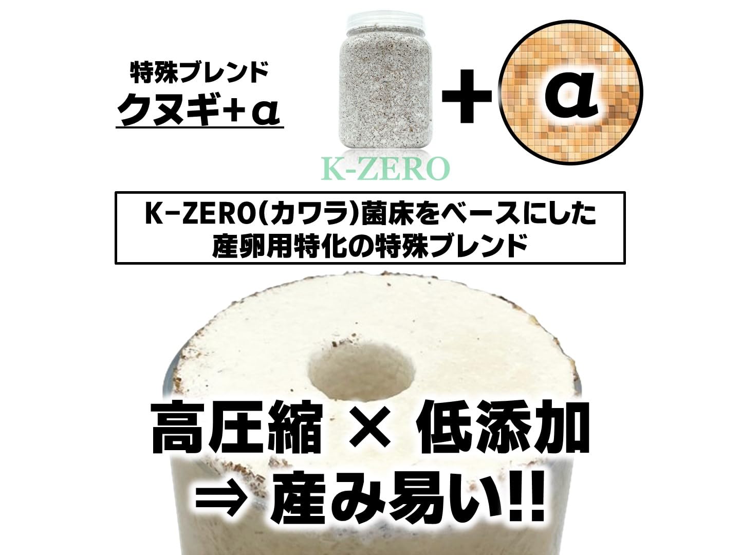 訳アリ確認用。タランドゥス Amazon | タランドゥスオオツヤ 1メス54個採卵！【DDA】カワラ菌