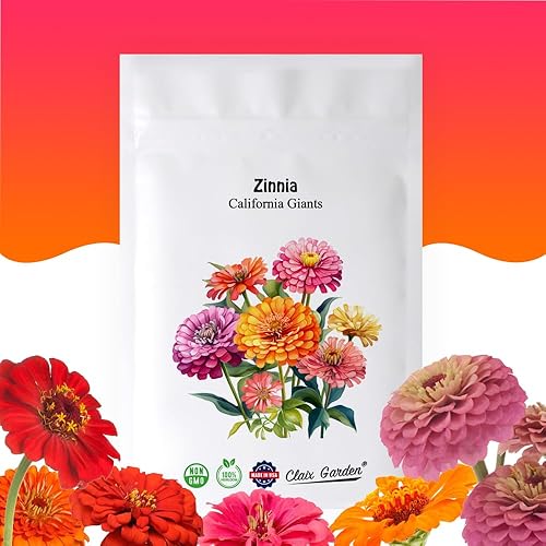 Zinnia Seeds  Mezcla de Gigantes de California  4000 semillas  Colores mezclados y flores grandes, reliquia sin OMG cultivada en Estados Unidos,