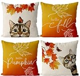 GAGEC Fall Pillow Covers 18x18 Inch Cat Maple Leaf Autumn Thanksgiving Butterfly Hello Pumpkin Outdo