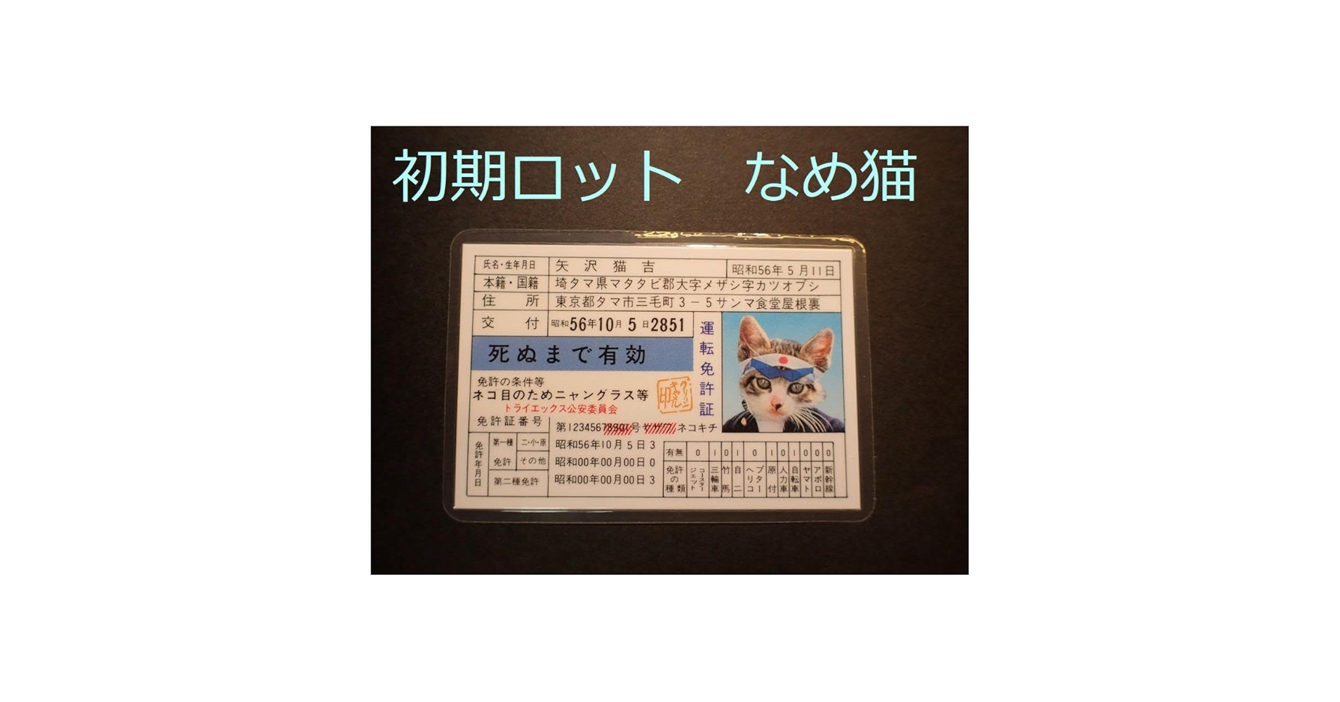 懐かしのなめ猫の免許証です。（未使用） Amazon.co.jp: ネオ昭和 なめ猫 免許証 初期モノ 特攻 昭和デス
