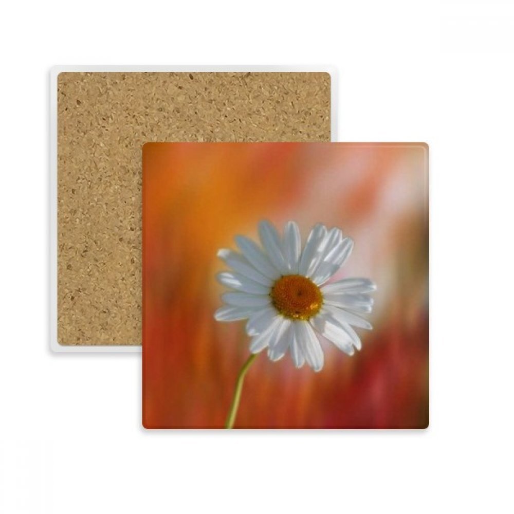 Coaster pierre porte tasses absorbant carré blanc motif fleurs orange foncé
