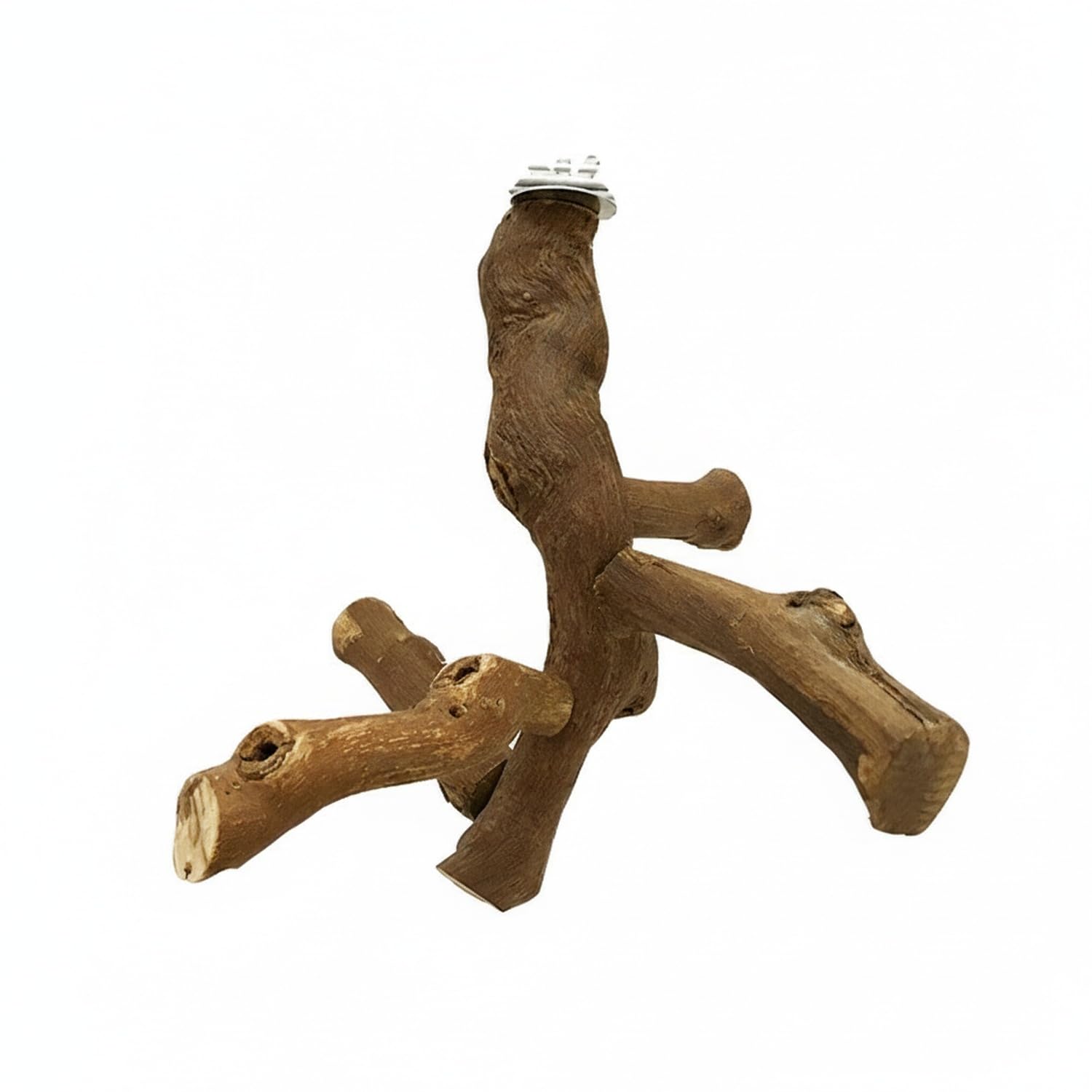 Trespolo in Legno di Vite, 1 PC