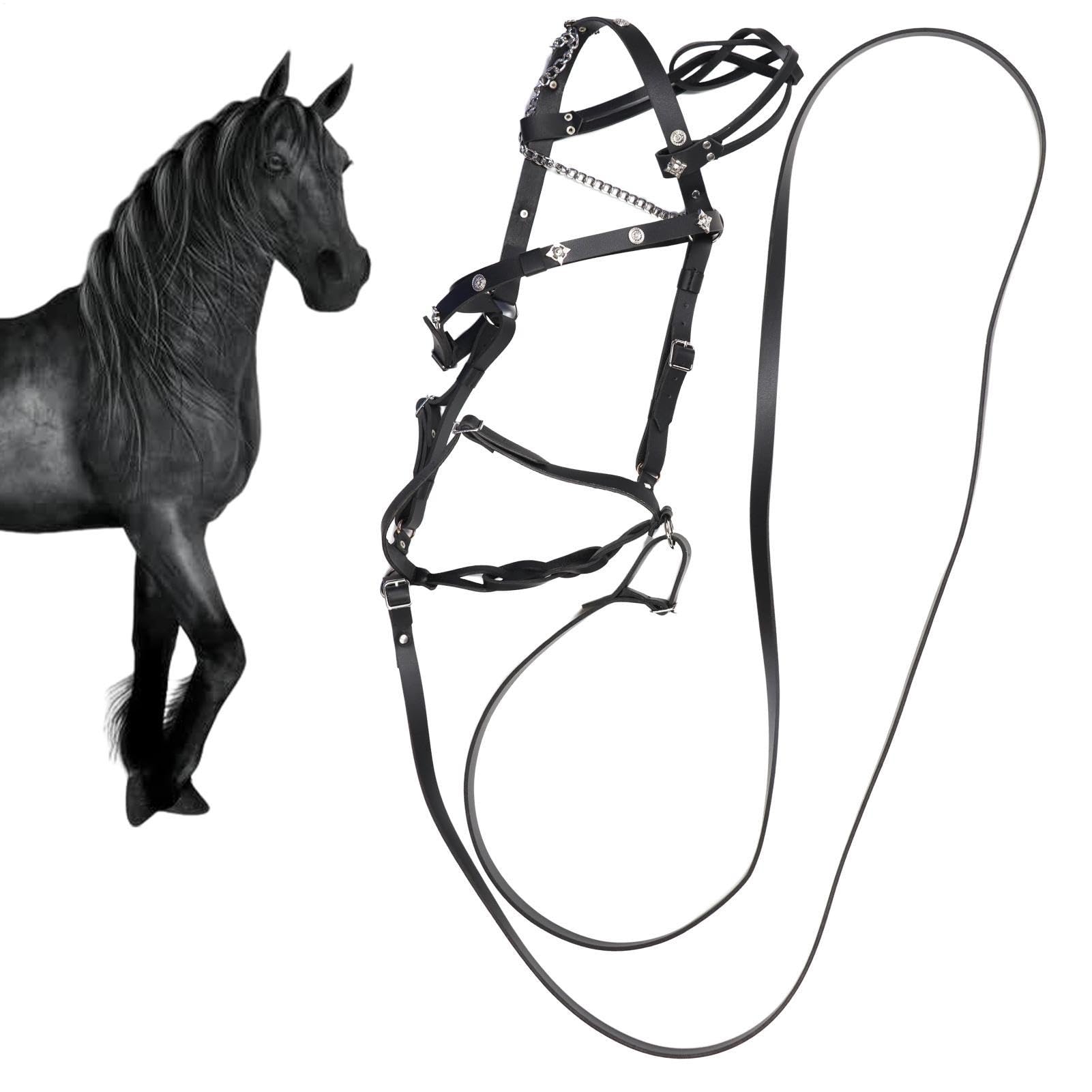 Generisch -Cabestro de cuero - Soportes ajustables - Correa para caballos |