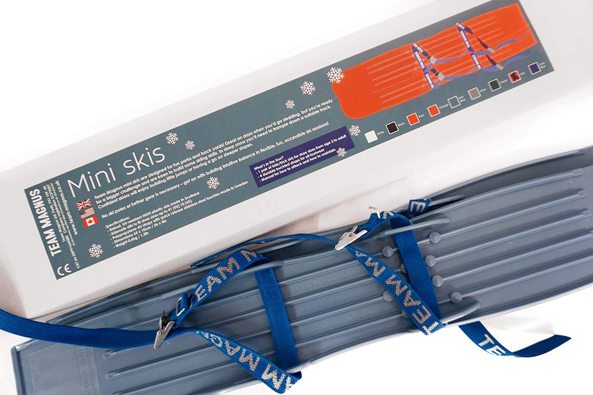 Nordica Enforcer 89 Skis, Black / Blue / Lime, 179cm