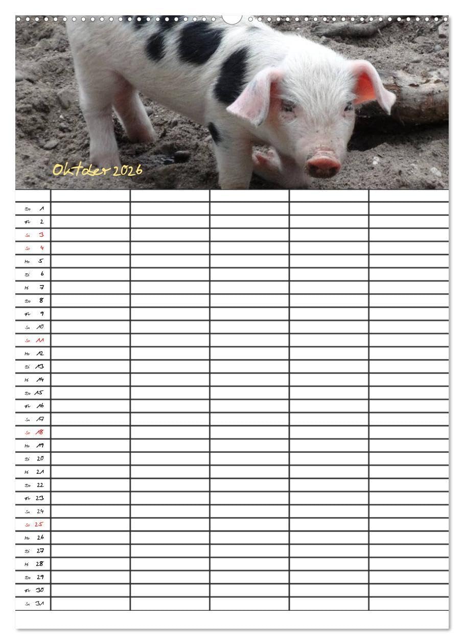 Bauernhoftiere Familienplaner (hochwertiger Premium Wandkalender 2026 DIN A2 hoch), Kunstdruck in Hochglanz: Nutz- und Haustiere (CALVENDO Tiere)