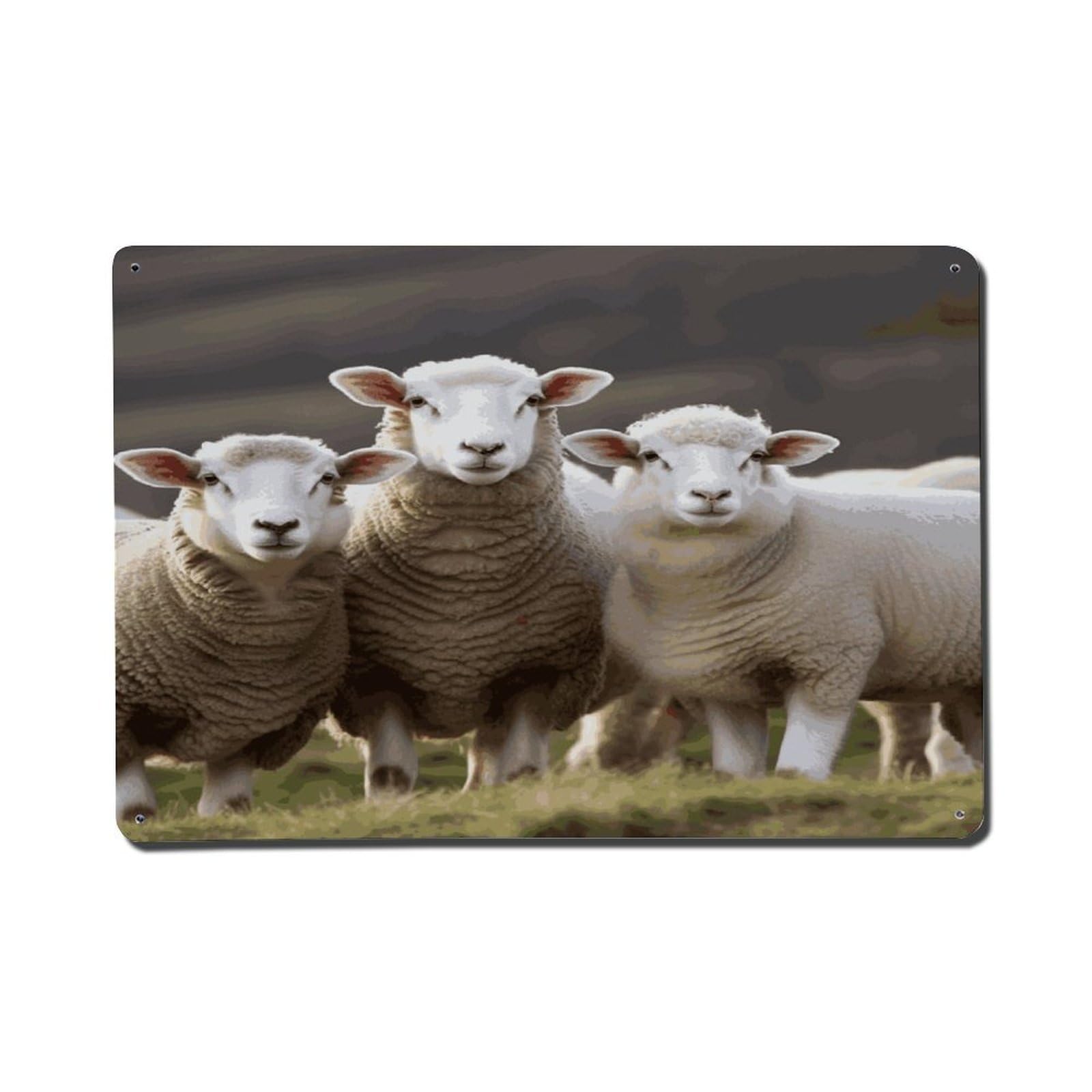 Adfgyerh Style Sheep And Lambs Metal Signs Funny, Aluminum Tin Sign Indoor Outdoor Decor, Vintage Signs For Home Office Kitchen Bar Cafe Garden Farmhouse Wall Decor