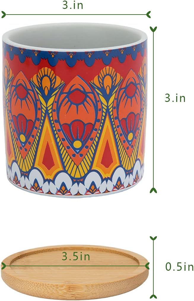 Warmplus Succulent Pots, 3 inch Mandala Planter Pot with Drainage and Bamboo Tray, Small Pots for All House Plants, Succulents, Flowers, Cactus, Pack of 6 - Plants Not Included : Patio, Lawn & Garden