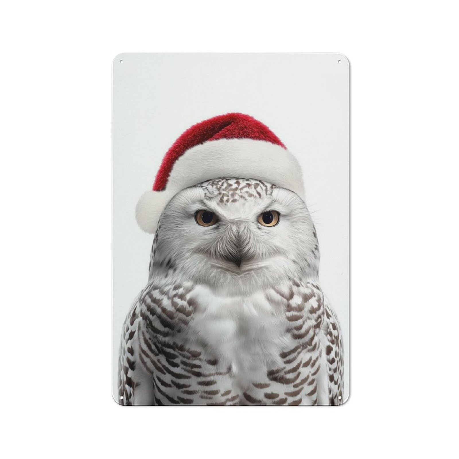 Junmoney Christmas Snowy Owl Portrait Tin Wall Plaque 30X20cm With For Living Room Or Hallway, For Garage, Workshop And Man Cave Decoration