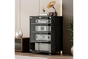 Modern Stereo Cabinet with Glass Doors and Adjustable Shelves