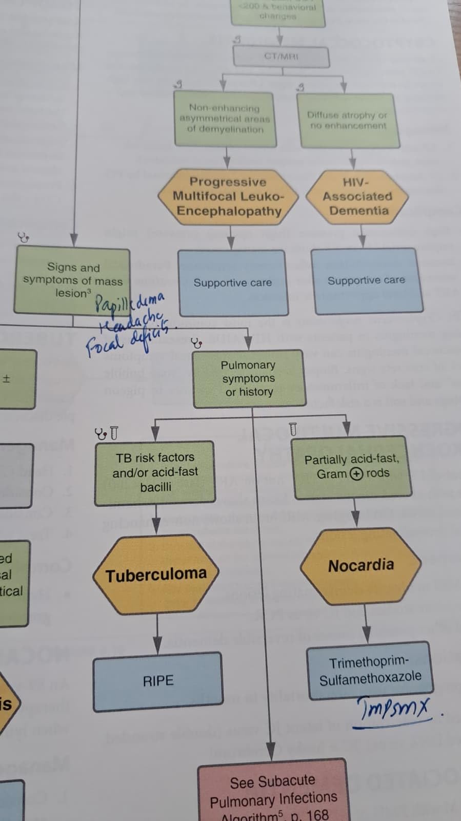 First Aid Algorithm First Aid Clinical Algorithms for the USMLE Step 2 CK - Kramer-Feldman ...