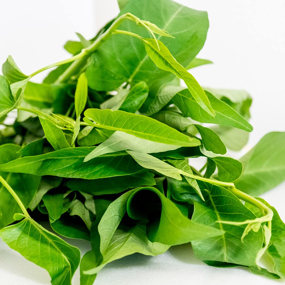新鮮 空芯菜14キロ 新鮮 空芯菜 14キロ Amazon.co.jp: 新鮮空心菜・Fresh Water Spinach