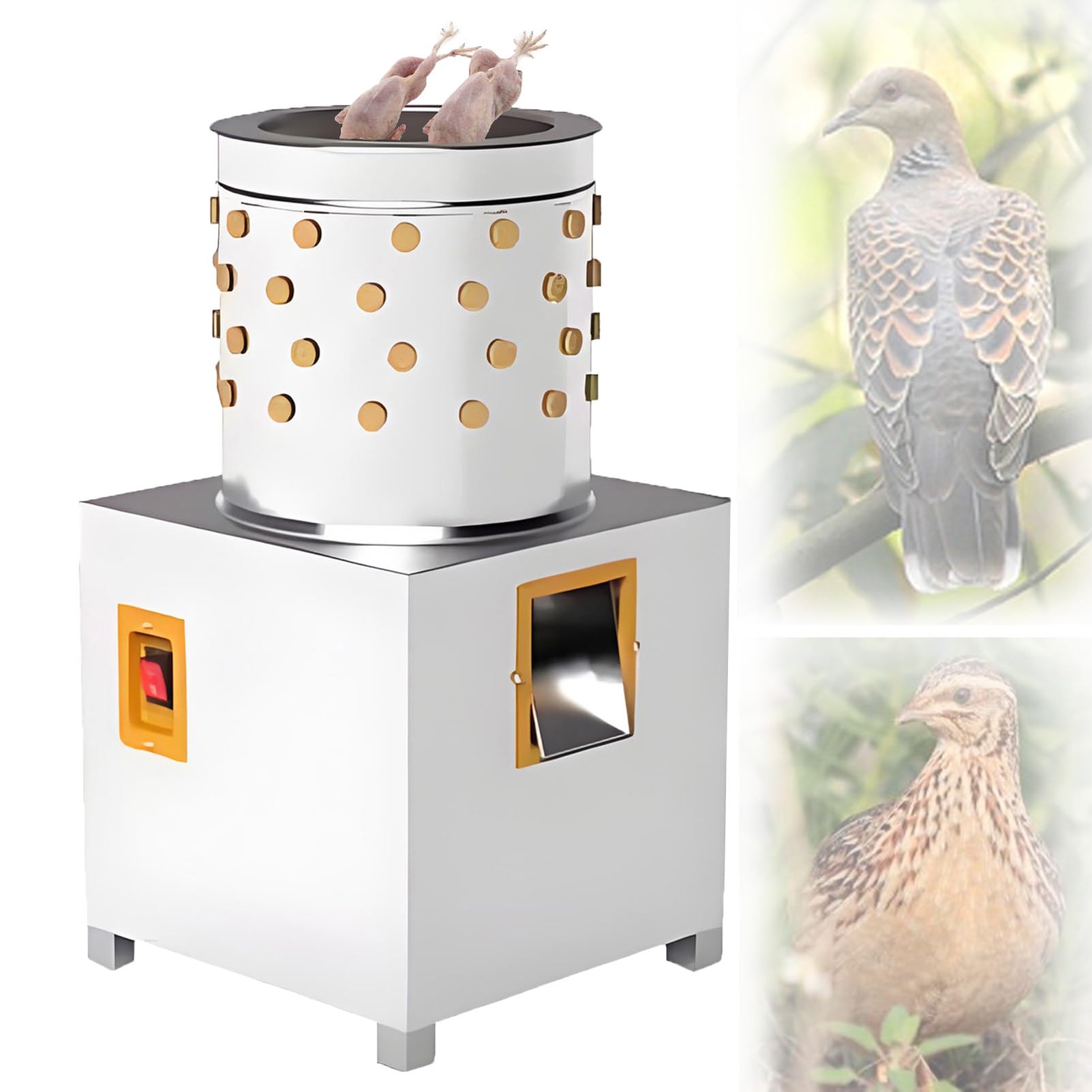 Spennatrici per Polli Uccelli Piccoli Spennatrice per Quaglia Elettrico 95 Aste in Gomma con Tamburo in Acciaio Inox Piuma Rapida per Uccelli Quaglie Piccioni e Altro Pollame