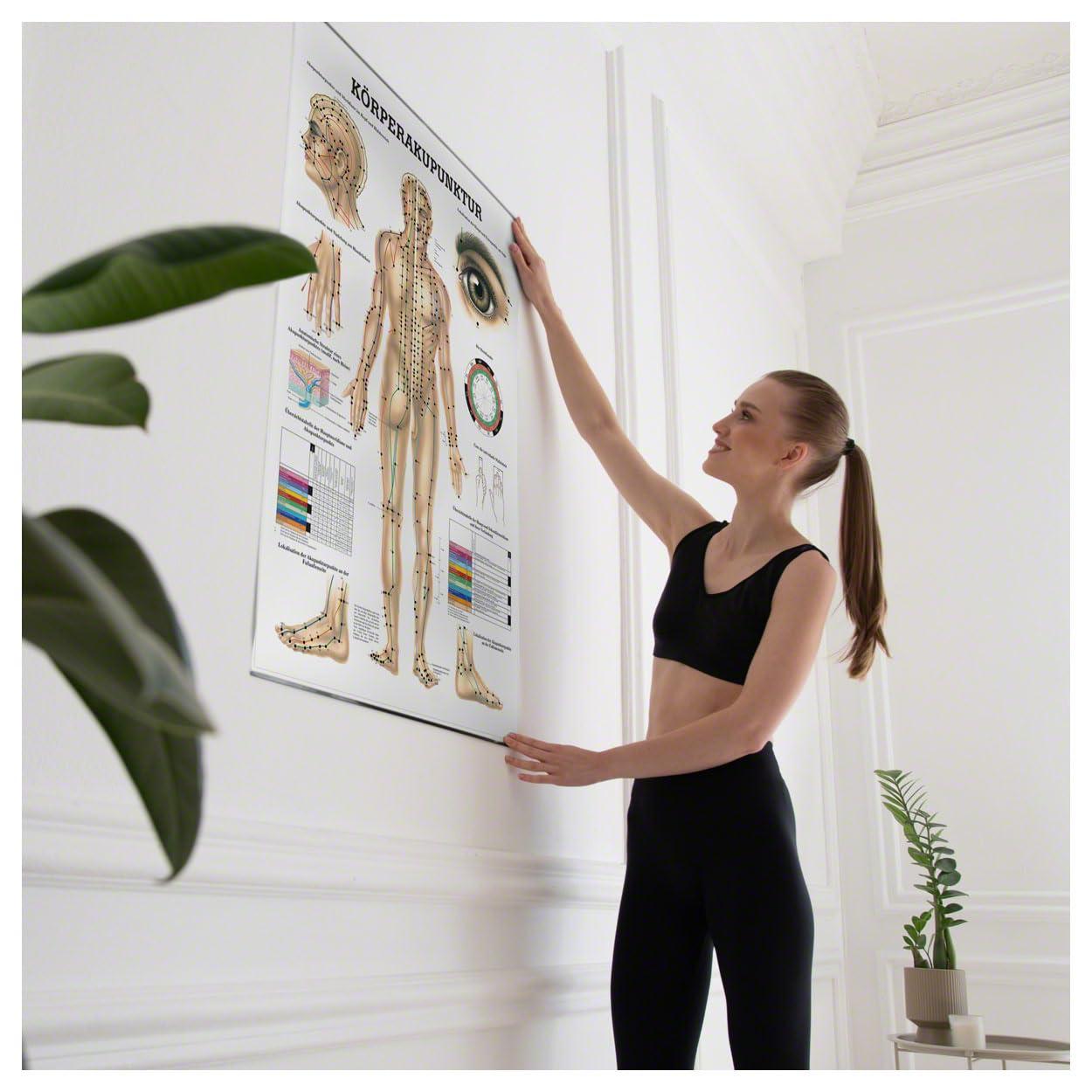 Sport-Tec Körperakupunktur Lehrtafel Anatomie 100x70 cm medizinische Lehrmittel