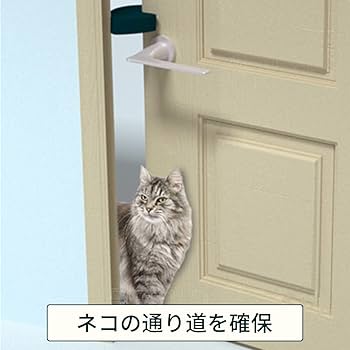 ねこ◎トラブル防止の為プロフ必読③ 楽天市場】猫 壁紙保護シート はがせる 爪とぎ防止 壁紙