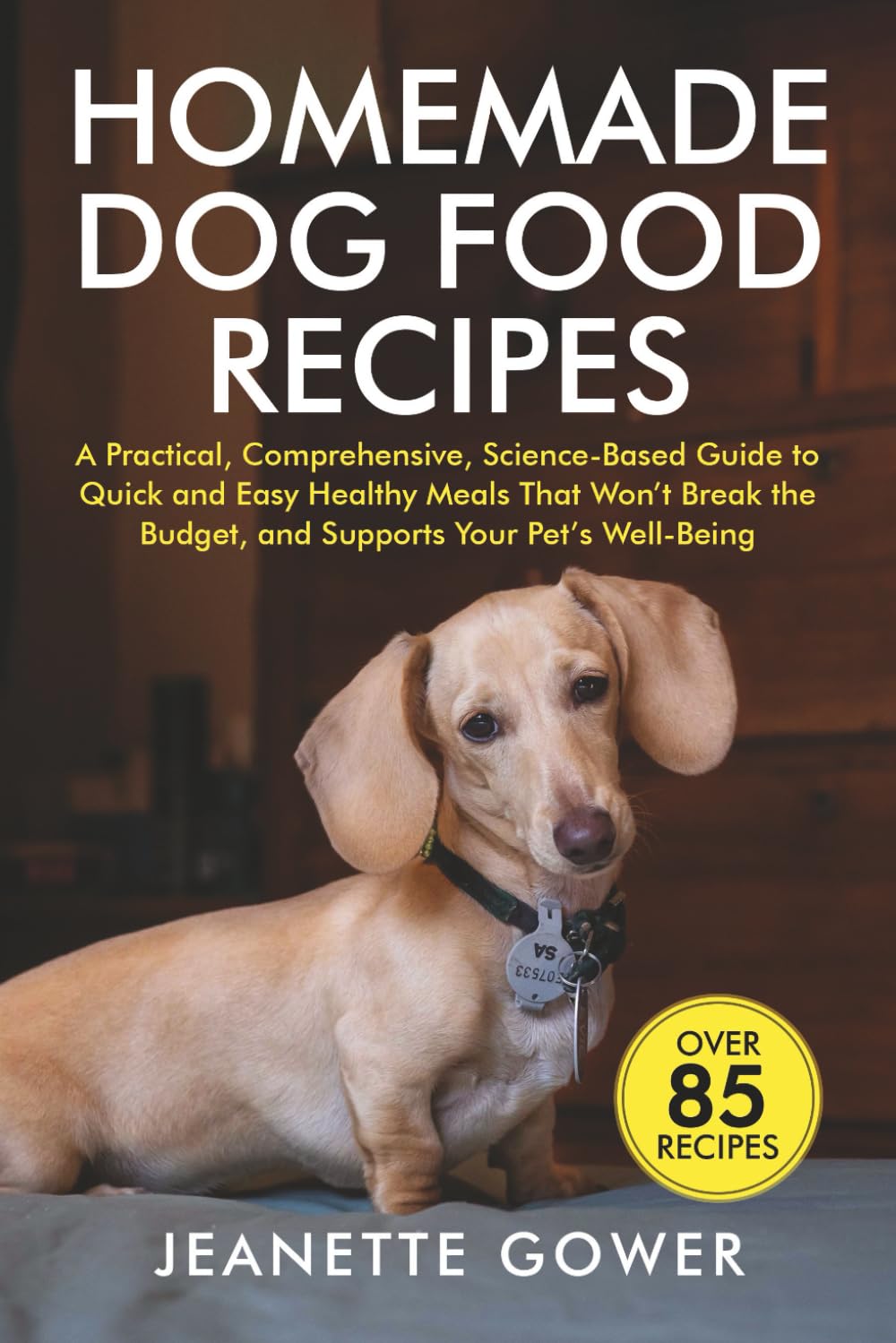 Homemade Dog Food Recipes: A practical, comprehensive, science-based guide to quick and easy healthy meals that won't break the budget, and supports