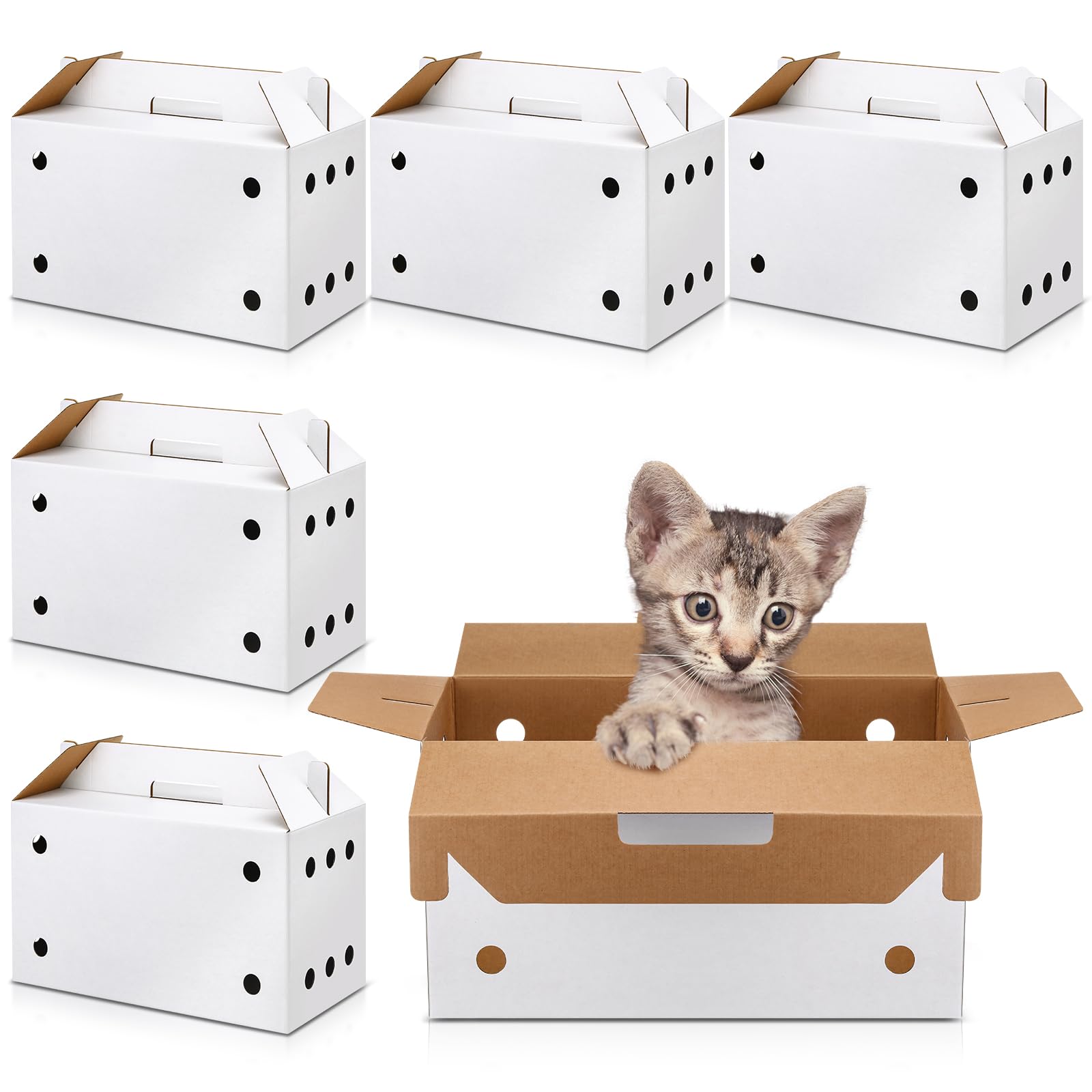 Gilprop 6 Pack Cardboard Pet Carrier 17.5 x 8.66 x 12.2 Inches Small Animal White Puppy Cat Pet Transport Carrier Cardboard Box for Chicken Hamsters Gerbils Birds Travel Box