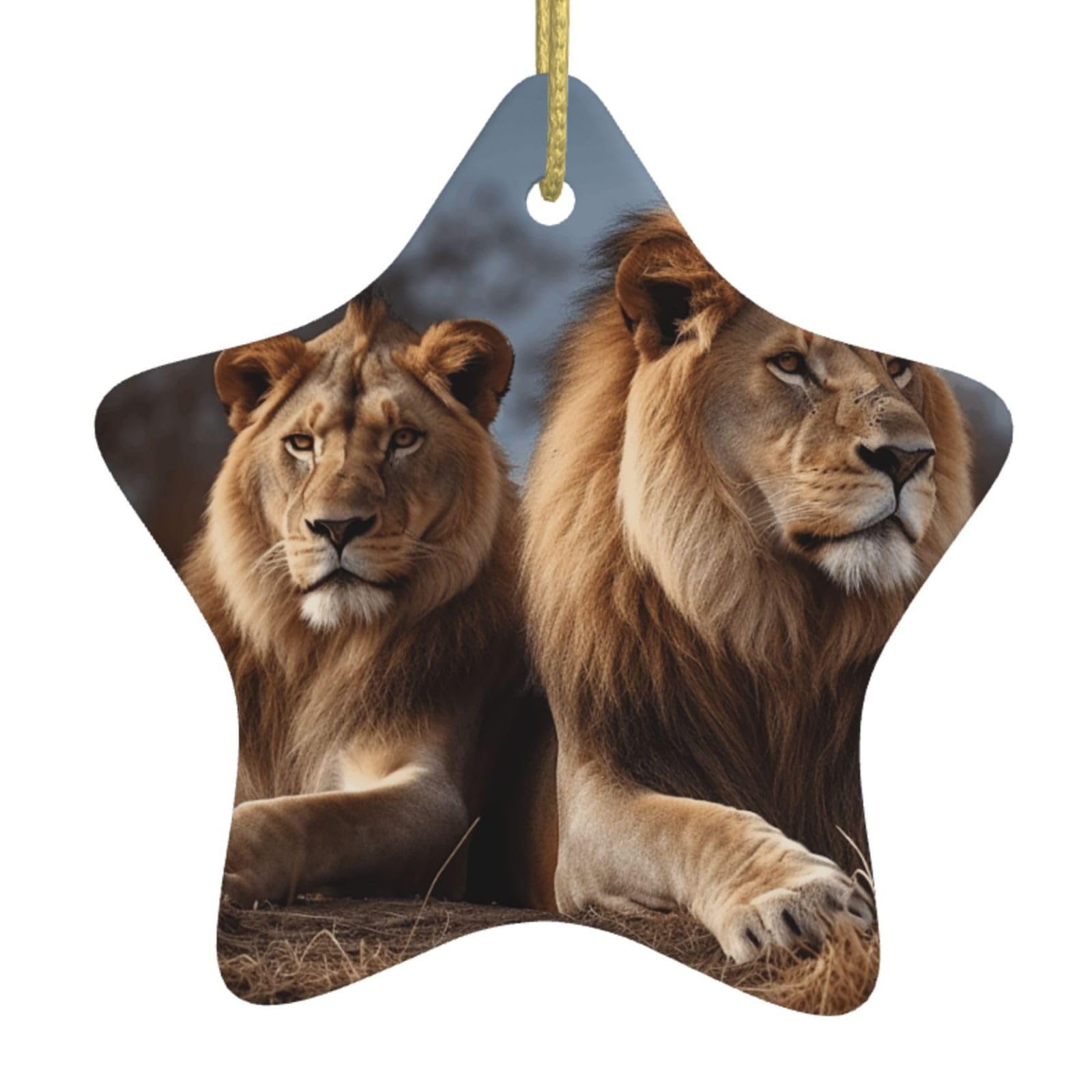 Fodpand Women's White Two Lions Christmas Ornaments 2025, Gift Exchange For Men, Collectible Ceramic Ornament Star Hanging Ornaments For Christmas Tree Decoration
