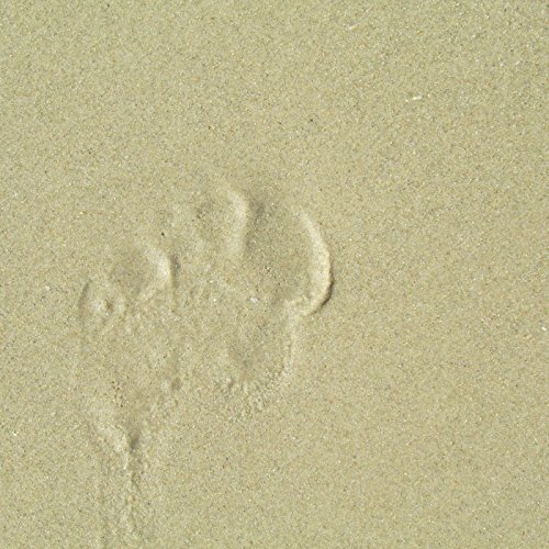 The Gospel (According to Chef Peter T)