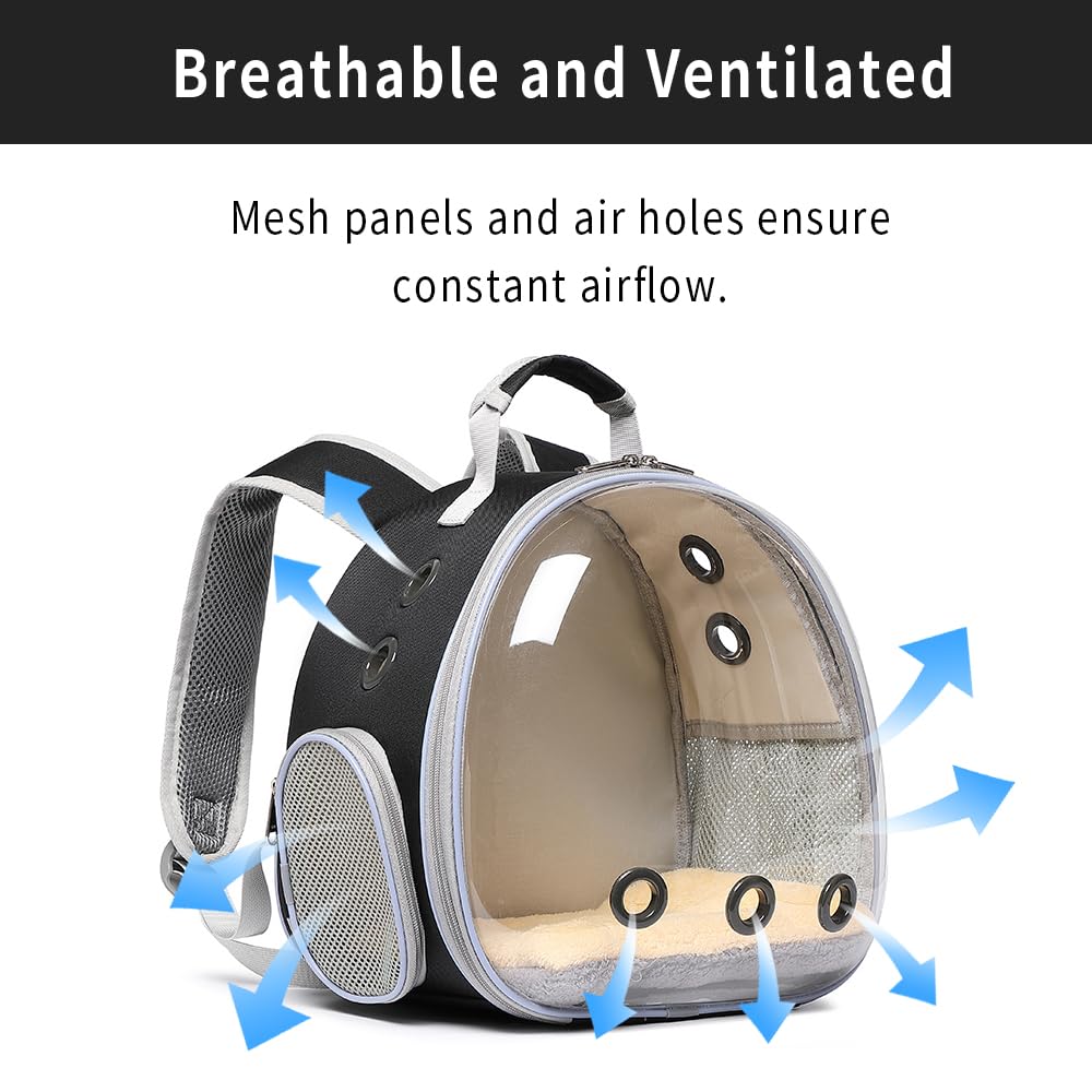 Sac à dos de transport respirant pour cochon d'Inde, lapin, dragon barbu, lézard, hamster, chaton - Parfait pour les visites vétérinaires et les aventures en plein air (noir)