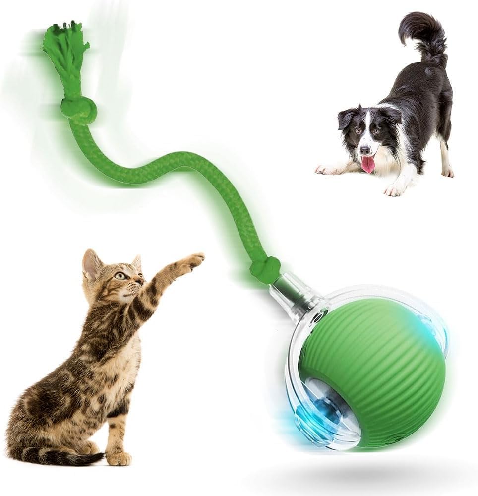 HOIDOKLY Interactive Cat Toys for Indoor Cats, Dog Toy Ball, Pet Rolling Ball, Smart Automatic Toy for Chasing Cat Balls (Green)