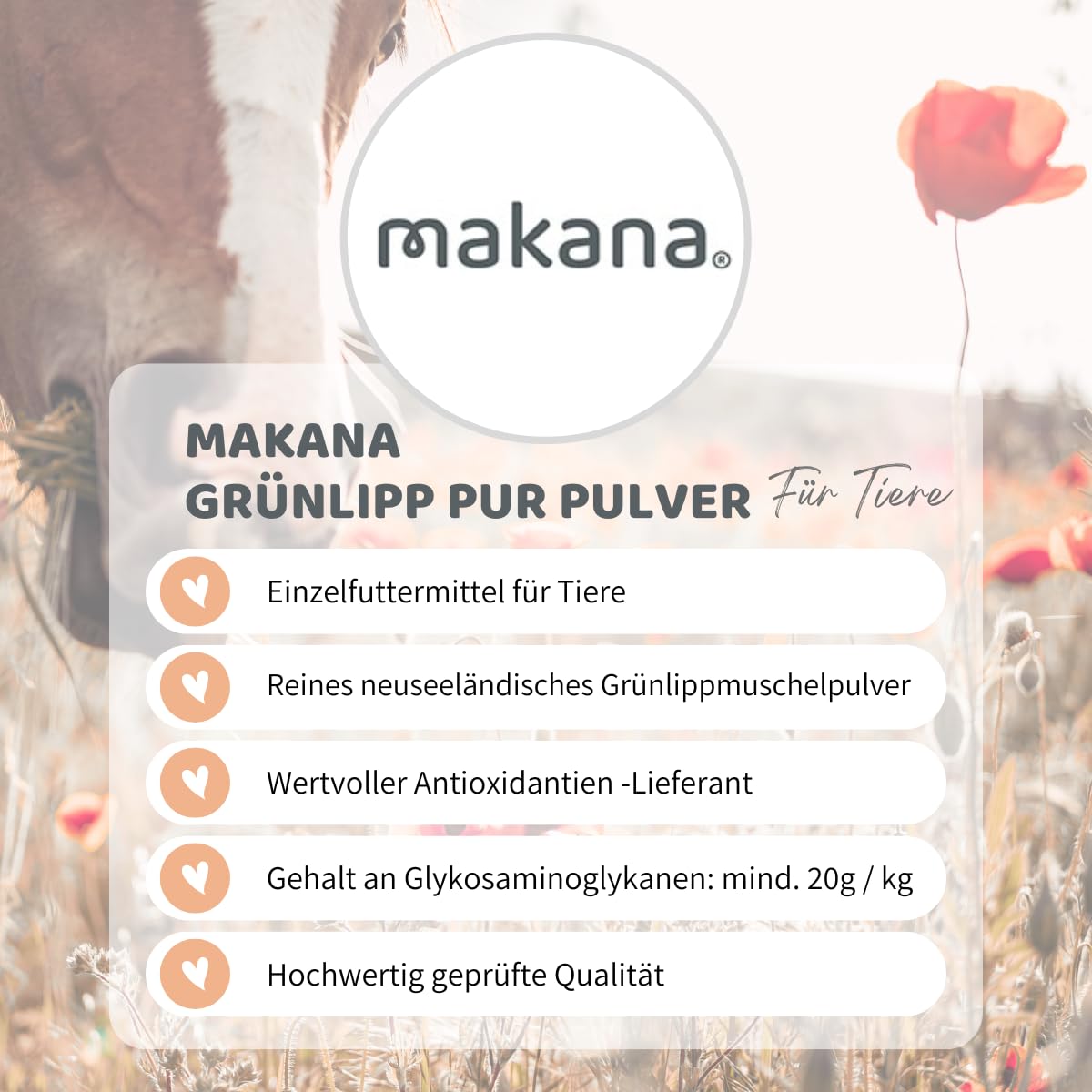Makana Grünlipp PUR, proszek z muszli zielonowargowej, worek 500 g