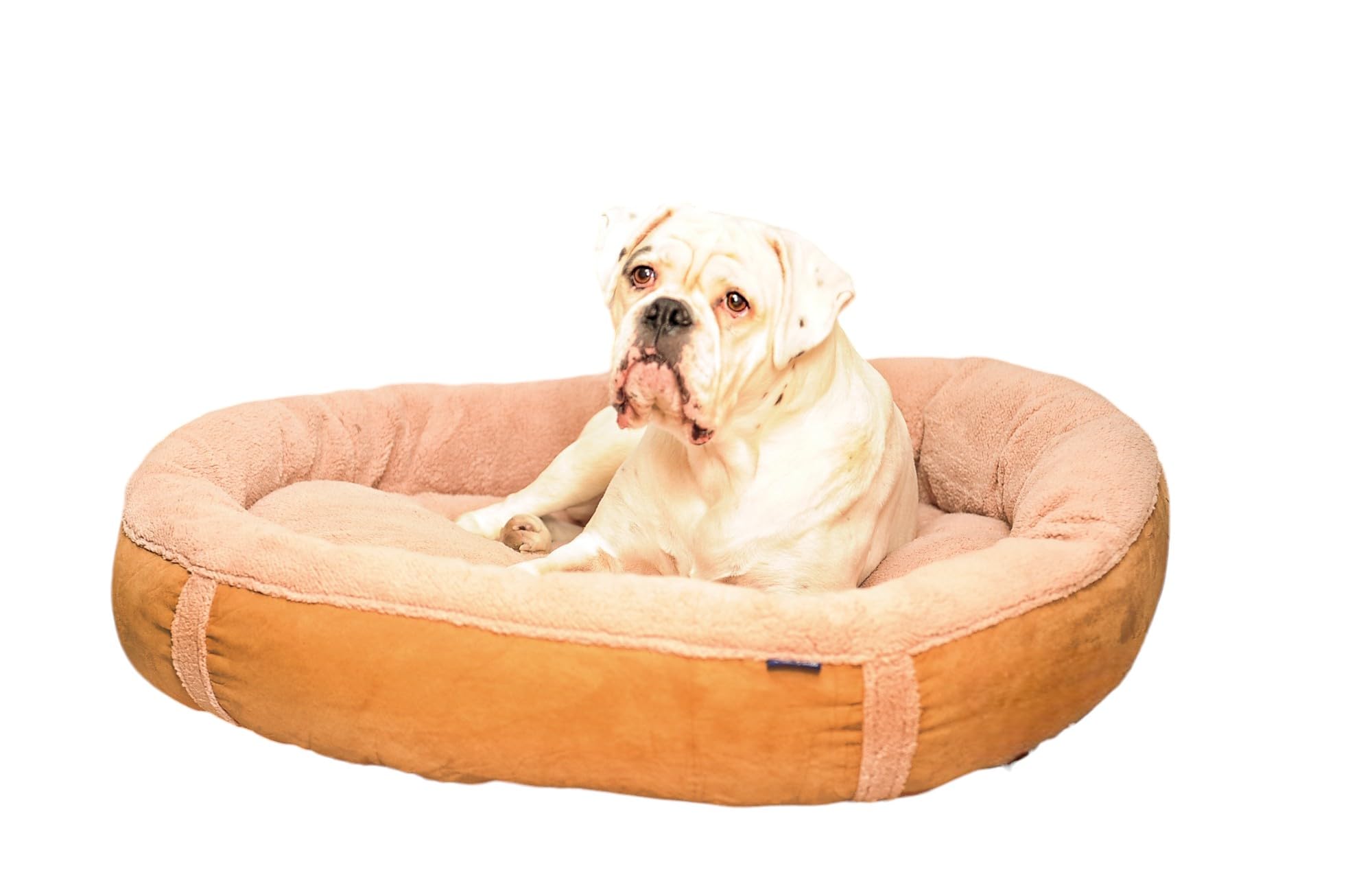 Wolfybeds Large Luxury Donut Bed (Caramel)