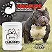 Muscle Bully Gains - Mass Weight Gainer for Dogs, Whey Protein, Flax Seed (for Bull Breeds, Pit Bulls, Bullies) Increase Healthy Natural Weight, Made in The USA (90 Servings)