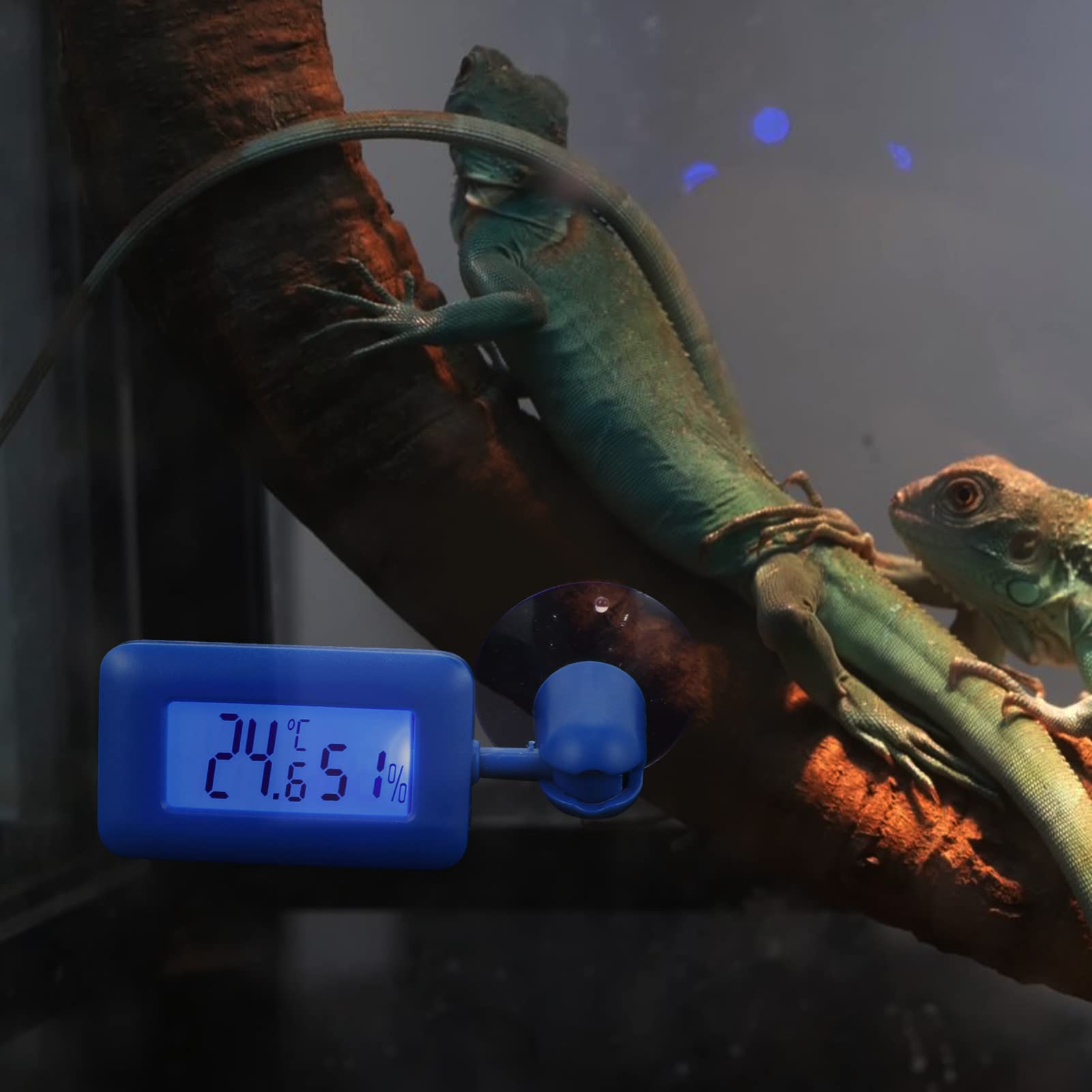 Amosfun 4stücke Rotierendes Saugnapf-thermometer Für Reptilien Hygrometer Mit Drehung Digitale Temperaturmessung Für Aquarium Und Terrarium Blauer Farbton Installieren Bedienen