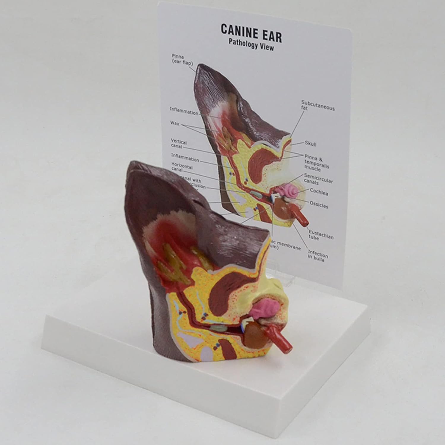 ナイキ 硬式 野球用品 美品 NIKE ナイキ 硬式 内野用 グラブ Kip 最高