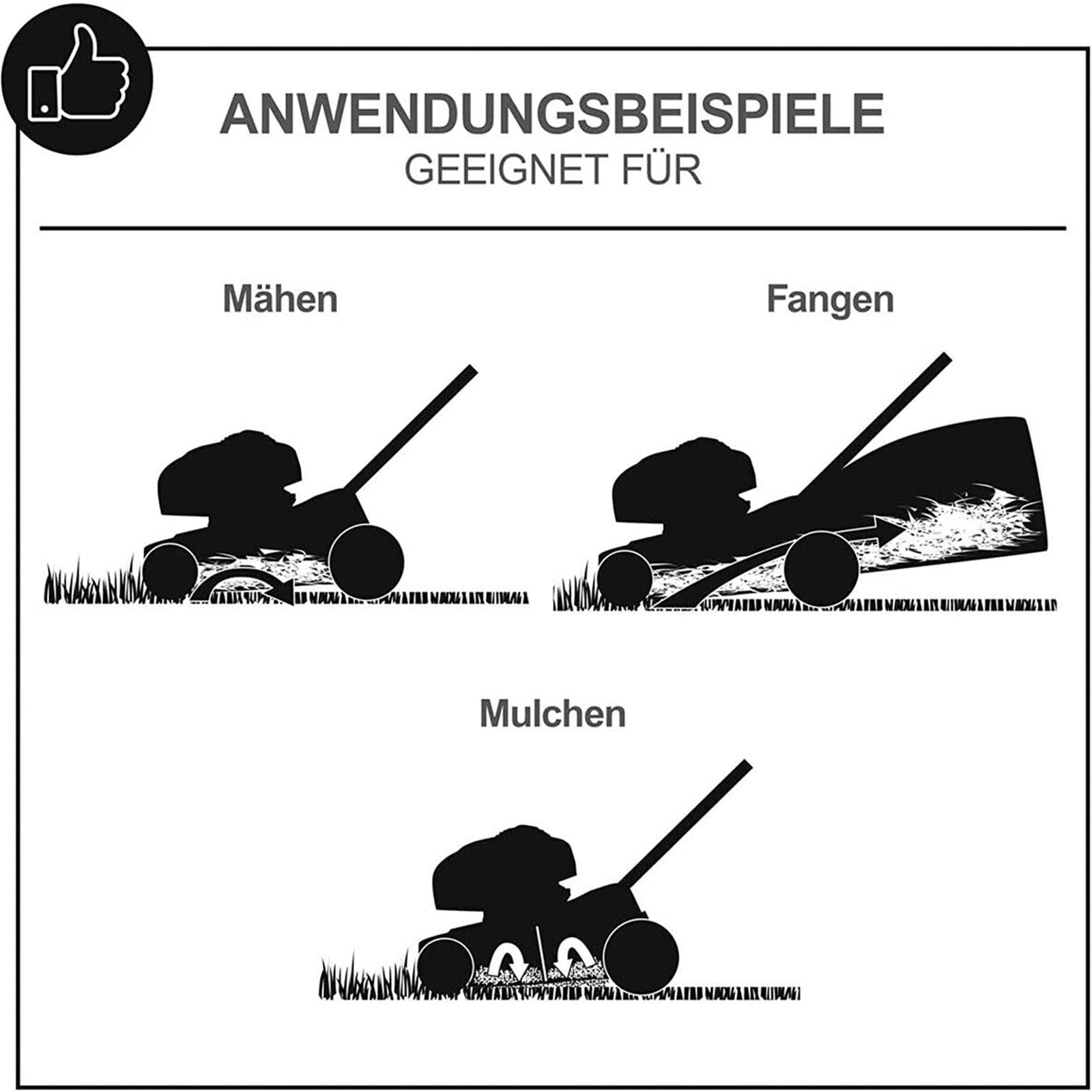 Scheppach Rasenmäher Benzin MS197-51B Trike mit Antrieb | 6in1 Funktionen | 4-Takt Motor / 5,2PS Leistung / 200 CCM | 51cm Schnittbreite | 65L Fangkorb | 7-Fach Schnitthöhenverstellung 25-75mm