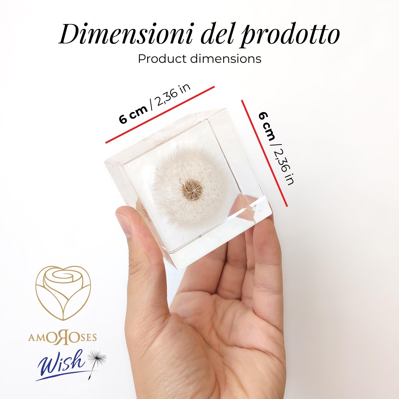 Amoroses WISH - Dente di Leone vero, conservato in cubo di resina trasparente - Fiore Soffione in confezione elegante - Idea Regalo Originale, oggetto decorativo - Esprimi un desiderio