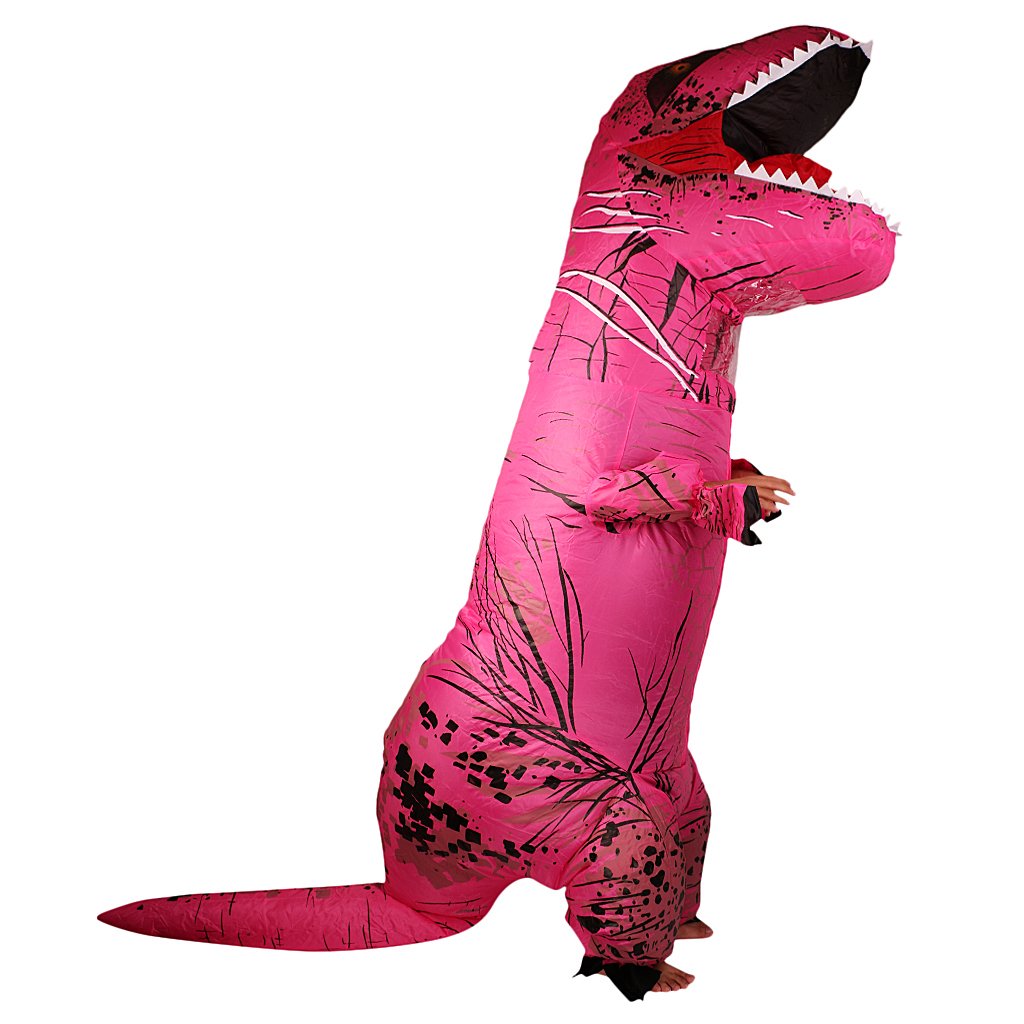 Pink dinosaur outfit Clearance