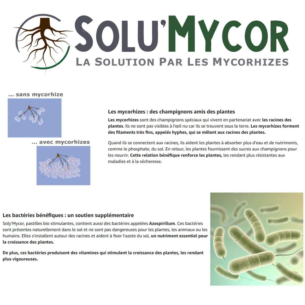 SoluMycor – 1000 Pastilles Biostimulantes Fleurs et graminées – Idéal pour Semis & Plantation – Mycorhizes & Bactéries Azospirillum – Favorise le Développement Racinaire – Fabriqué en France