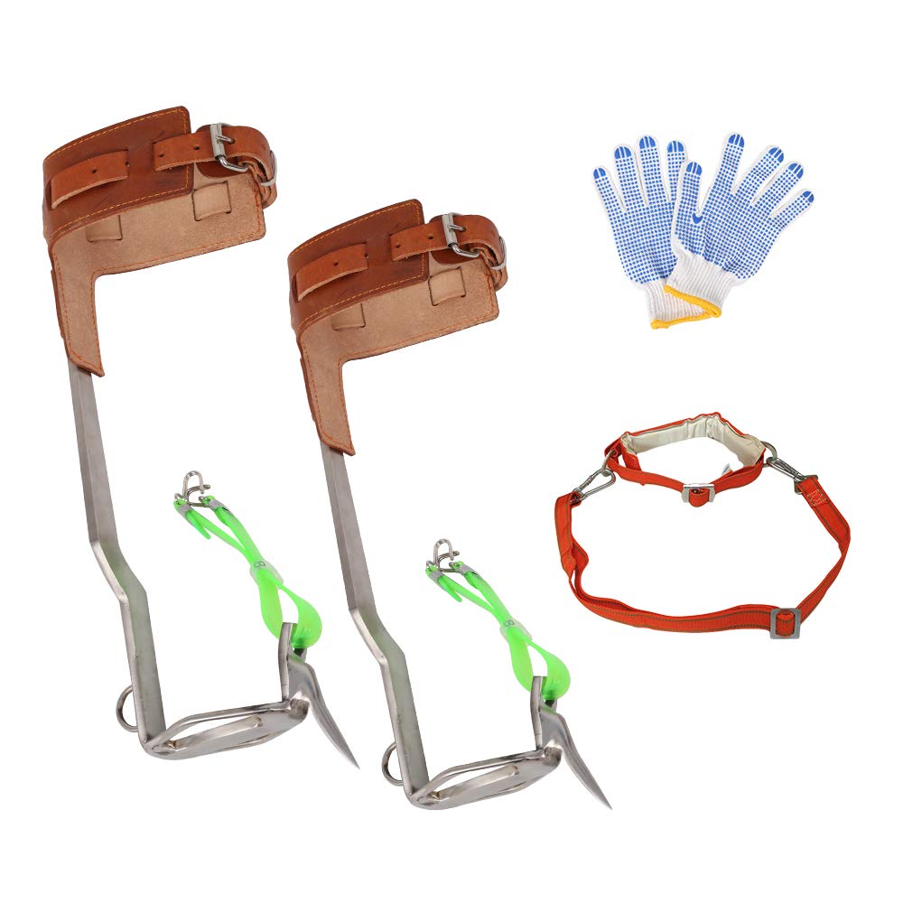 Buy Yeipower Climbing Tree Spikes StainlessSteel Tree Gaffs Pads