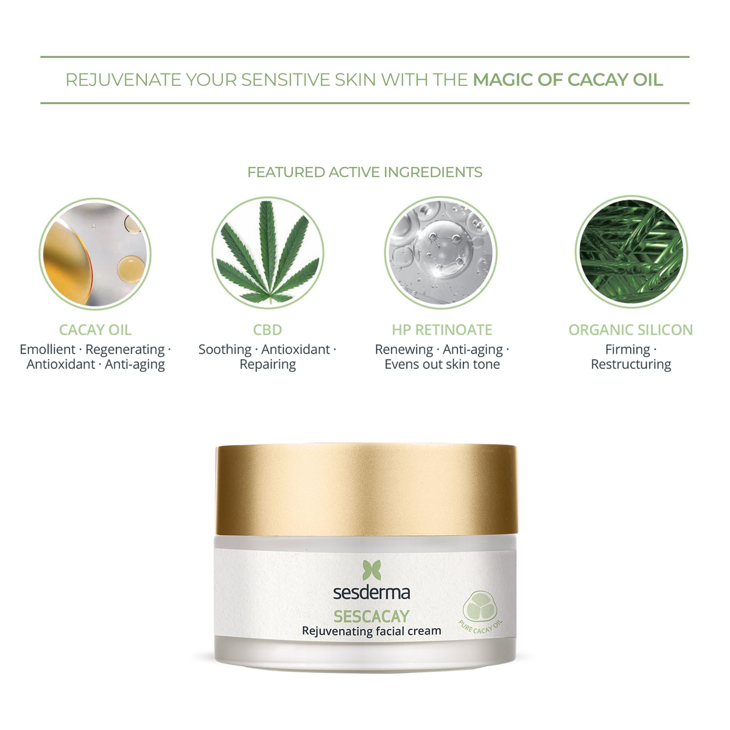 Sesderma SESCACAY Rejuvenating Facial Cream, Anti-Aging Treatment with Cacay Oil and HP Retinoate, for All Skin Types, Premium Beauty, 1.7 Fl Oz - Image 4