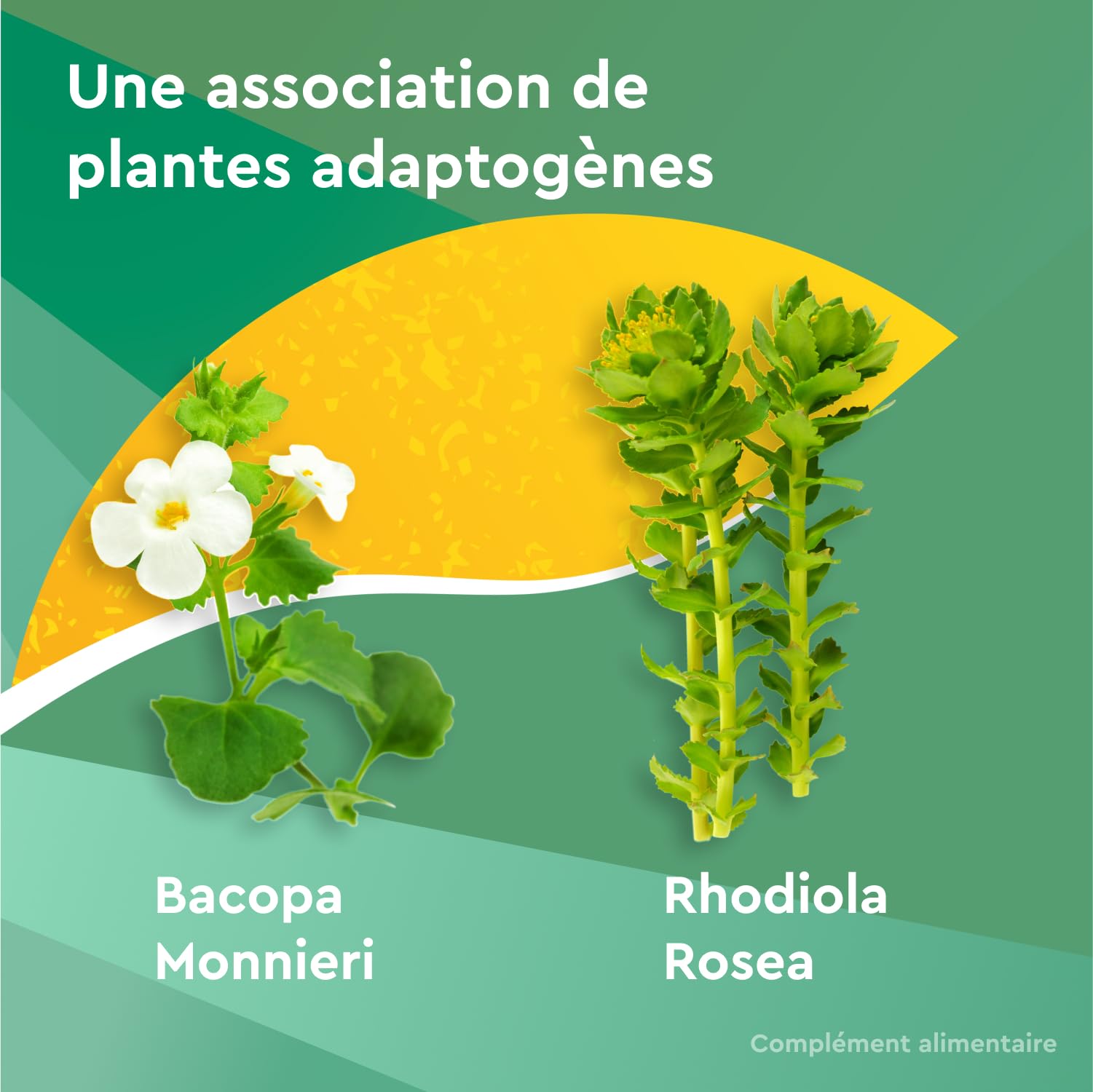 EuphytoseStress Concentration - Complément alimentaire - Bacopa Monnieri - Rhodiola Rosea - Plantes adaptogènes - Stress, Difficulté de Concentration - 3 mois - 3x30 comprimés - Fabriqué en France