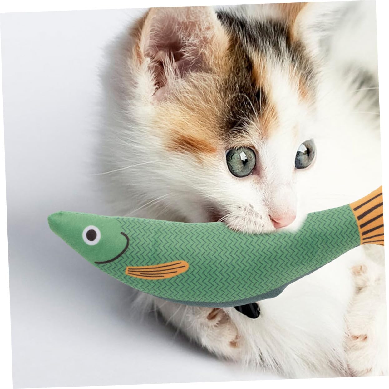 VANZACK 8pezzi Giocattoli Per Gatti Forma Di Pesce Giocattoli Catnip Interattivi Per Masticare e Divertimento Perfetti Per Gatti Indoor Resistente e Sicuro